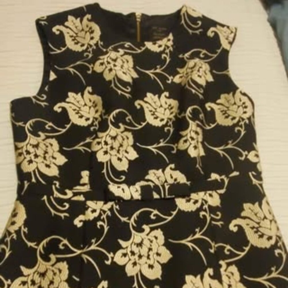 Ted Baker Dress